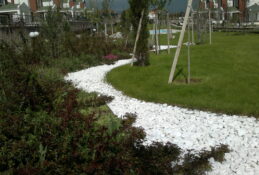 İç Mekân Düzenlemesi