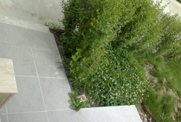 Dikey Bahçe Tasarımı