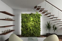 Canlı Dikey Bahçeler